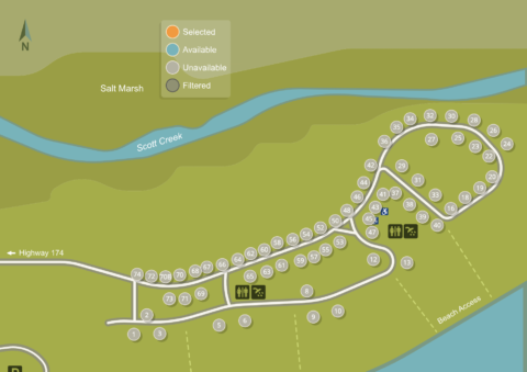 12 Amazing Things To Do Near Edisto Beach South Carolina