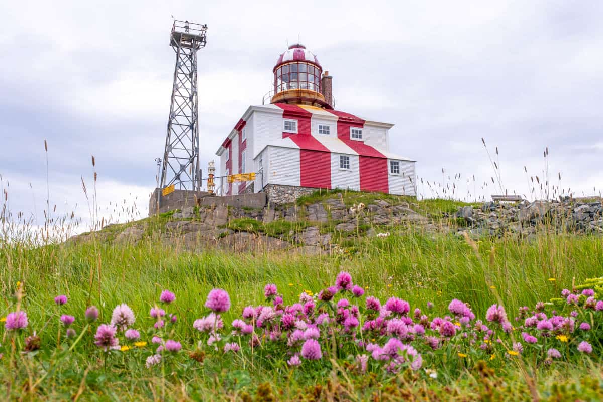 11 Amazing Things To Do In Bonavista Newfoundland (& The Bonavista